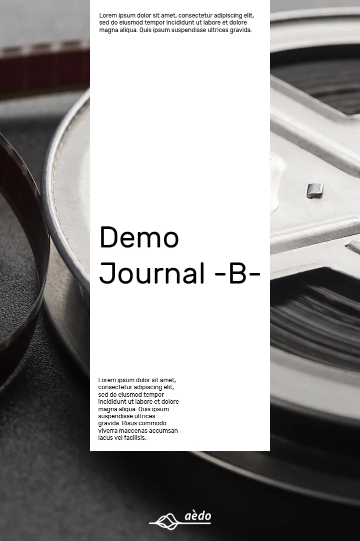 Demo Journal -B- Cover