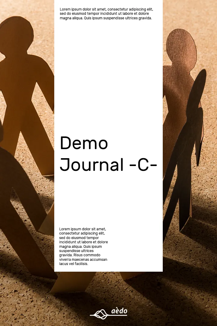 Demo Journal -C- Cover